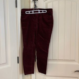 Ann Taylor skinny velvet jeans in burgundy 12P